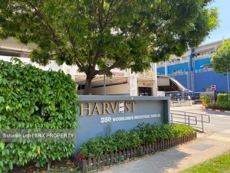 Harvest @ Woodlands (D27), Factory #621591401